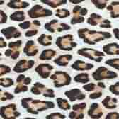 Animal patterned lycra